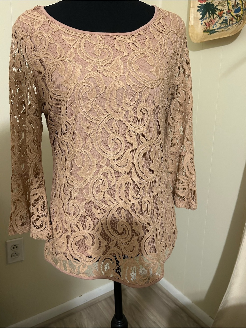 Adrianna Papell Blush Lace Overlay Scoop Neck Tunic